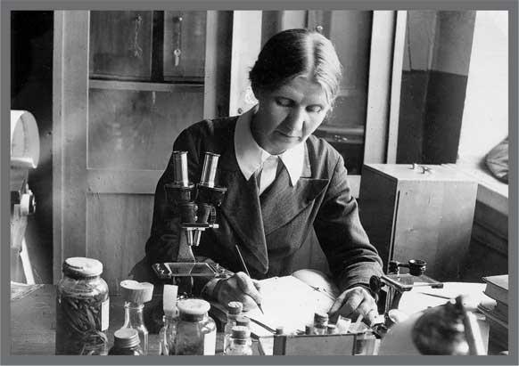 Иллюстрация к книге — Александр Кучин. Русский у Амундсена [i_054.jpg]