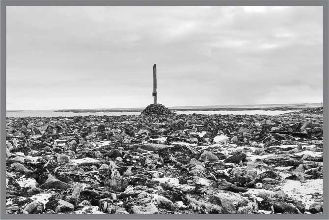 Иллюстрация к книге — Александр Кучин. Русский у Амундсена [i_089.jpg]