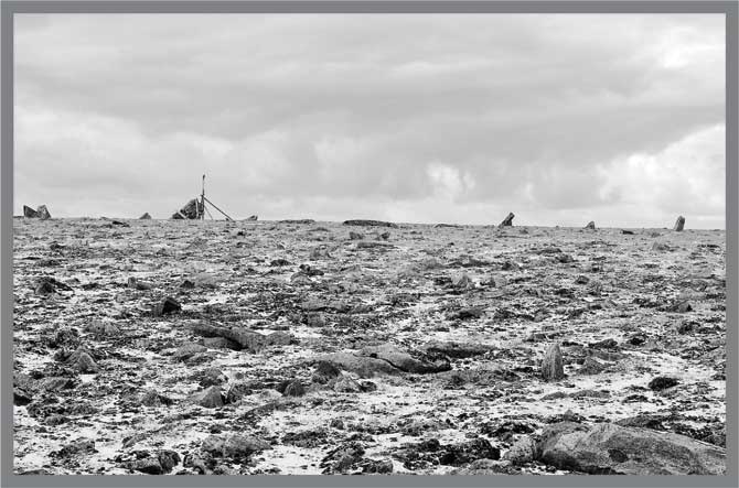 Иллюстрация к книге — Александр Кучин. Русский у Амундсена [i_090.jpg]