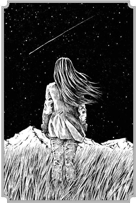 Иллюстрация к книге — Прыжок под венец [i_003.jpg]