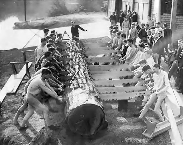 Иллюстрация к книге — Мальчики в лодке [i_001.jpg]