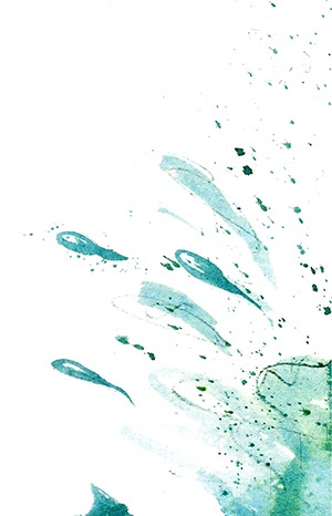 Иллюстрация к книге — Мой папа - птиц [i_041.jpg]