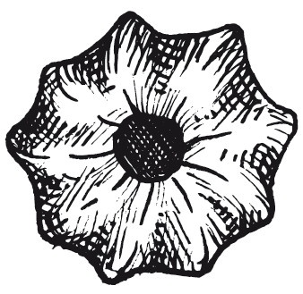 Иллюстрация к книге — Рецепты для здоровья и долголетия от Ольги Мясниковой [i_028.jpg]