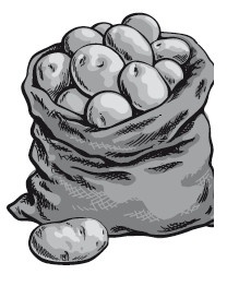 Иллюстрация к книге — Рецепты для здоровья и долголетия от Ольги Мясниковой [i_032.jpg]