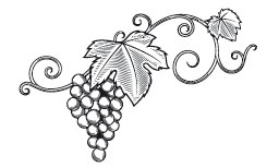 Иллюстрация к книге — Рецепты для здоровья и долголетия от Ольги Мясниковой [i_035.jpg]