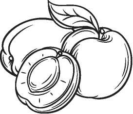 Иллюстрация к книге — Рецепты для здоровья и долголетия от Ольги Мясниковой [i_037.jpg]