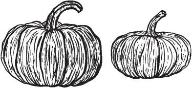 Иллюстрация к книге — Рецепты для здоровья и долголетия от Ольги Мясниковой [i_064.jpg]