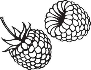 Иллюстрация к книге — Рецепты для здоровья и долголетия от Ольги Мясниковой [i_076.jpg]