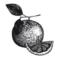 Иллюстрация к книге — Рецепты для здоровья и долголетия от Ольги Мясниковой [i_085.jpg]