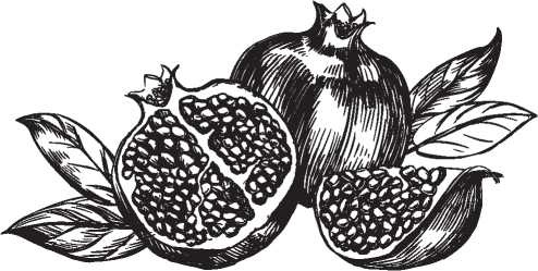 Иллюстрация к книге — Рецепты для здоровья и долголетия от Ольги Мясниковой [i_118.jpg]