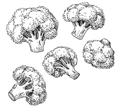 Иллюстрация к книге — Рецепты для здоровья и долголетия от Ольги Мясниковой [i_119.jpg]