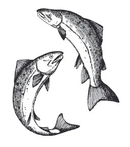 Иллюстрация к книге — Рецепты для здоровья и долголетия от Ольги Мясниковой [i_131.jpg]