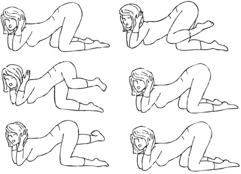 Иллюстрация к книге — Гимнастика славянских чаровниц. Практики, дающие силу, красоту и здоровье [i_052.jpg]