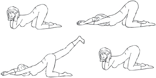 Иллюстрация к книге — Гимнастика славянских чаровниц. Практики, дающие силу, красоту и здоровье [i_064.jpg]