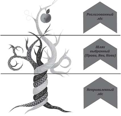 Иллюстрация к книге — Сила рода. Славянские традиции и ритуалы сохранения семьи и почитания предков [i_008.jpg]