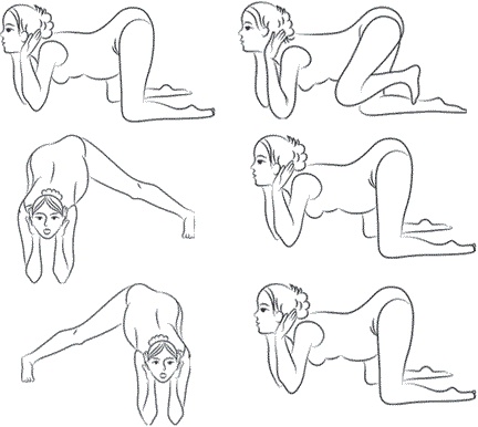 Иллюстрация к книге — Сила рода. Славянские традиции и ритуалы сохранения семьи и почитания предков [i_032.jpg]