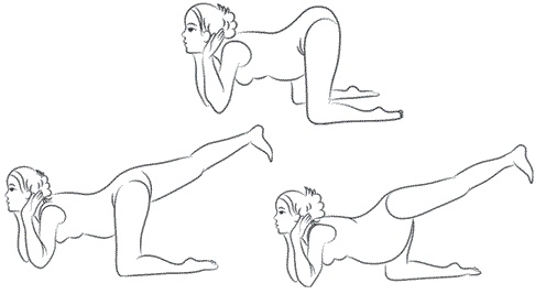 Иллюстрация к книге — Сила рода. Славянские традиции и ритуалы сохранения семьи и почитания предков [i_036.jpg]