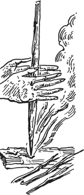 Иллюстрация к книге — О дохлой кошке и живых котятах [i_021.jpg]