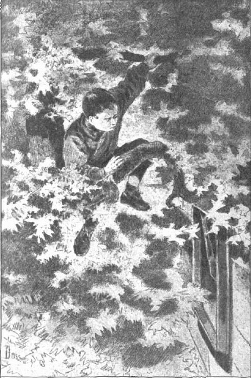 Иллюстрация к книге — Подкидыш [i_003.jpg]