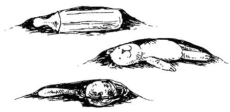 Иллюстрация к книге — Пип! [i_018.jpg]