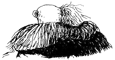 Иллюстрация к книге — Пип! [i_040.jpg]