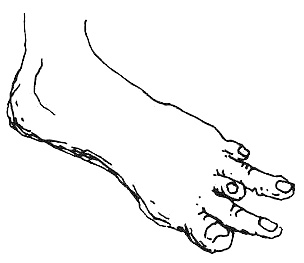 Иллюстрация к книге — Пип! [i_049.jpg]