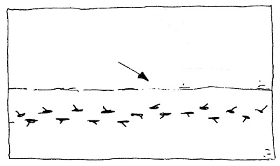 Иллюстрация к книге — Пип! [i_056.jpg]