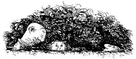 Иллюстрация к книге — Пип! [i_080.jpg]