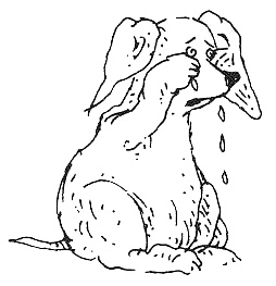 Иллюстрация к книге — Пип! [i_086.jpg]