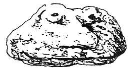 Иллюстрация к книге — Пип! [i_087.jpg]