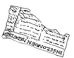 Иллюстрация к книге — Пип! [i_089.jpg]