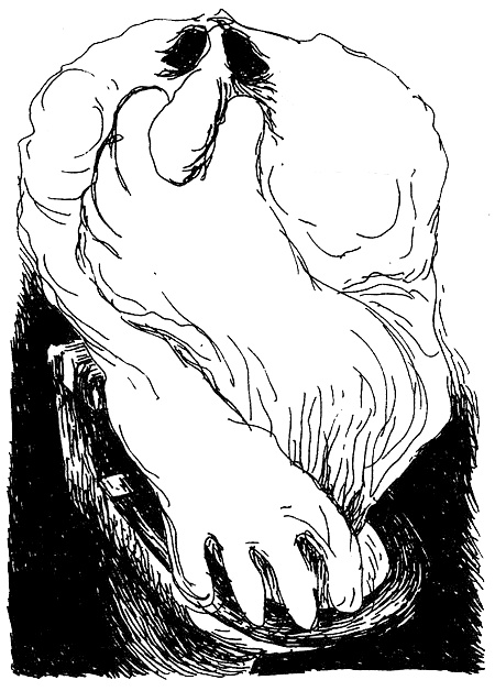 Иллюстрация к книге — Пип! [i_098.jpg]