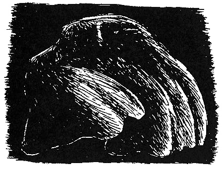 Иллюстрация к книге — Пип! [i_105.jpg]