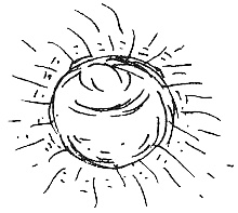 Иллюстрация к книге — Пип! [i_114.jpg]