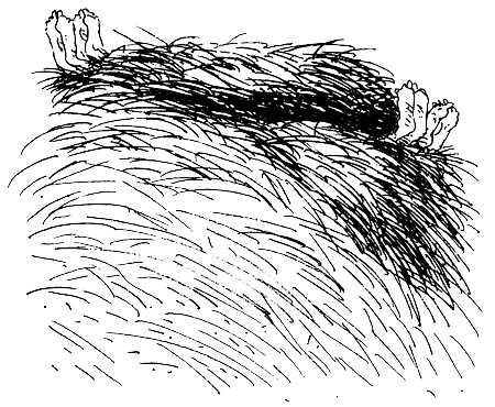 Иллюстрация к книге — Пип! [i_115.jpg]