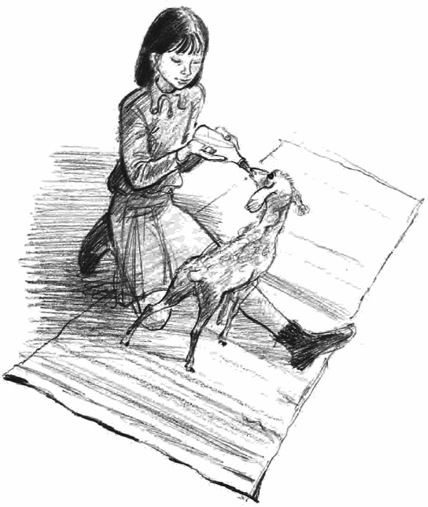 Иллюстрация к книге — Девочка из города [i_014.jpg]