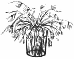 Иллюстрация к книге — Девочка из города [i_022.jpg]