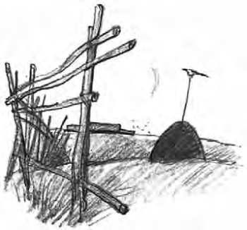 Иллюстрация к книге — Девочка из города [i_023.jpg]