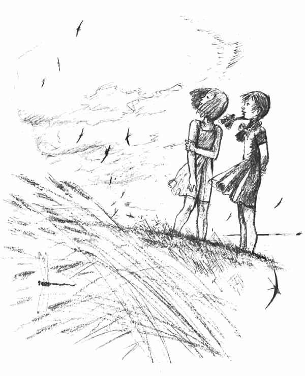 Иллюстрация к книге — Девочка из города [i_027.jpg]