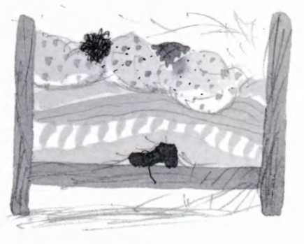 Иллюстрация к книге — Ветер делают деревья или Руководство по воспитанию дошкольников для бывших детей и будущих родителей [_26.jpg]