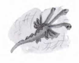 Иллюстрация к книге — Ветер делают деревья или Руководство по воспитанию дошкольников для бывших детей и будущих родителей [_92.jpg]