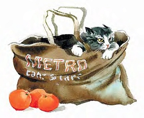 Иллюстрация к книге — Сибирский валенок [i_007.jpg]