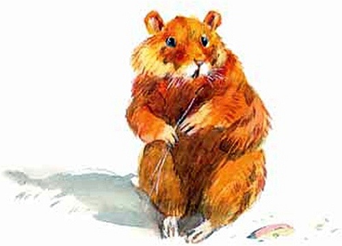 Иллюстрация к книге — Сибирский валенок [i_014.jpg]