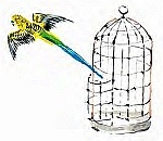 Иллюстрация к книге — Сибирский валенок [i_022.jpg]