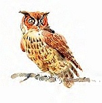 Иллюстрация к книге — Сибирский валенок [i_029.jpg]