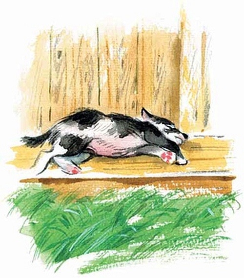 Иллюстрация к книге — Сибирский валенок [i_040.jpg]