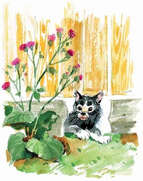 Иллюстрация к книге — Сибирский валенок [i_041.jpg]