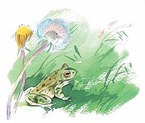 Иллюстрация к книге — Сибирский валенок [i_042.jpg]