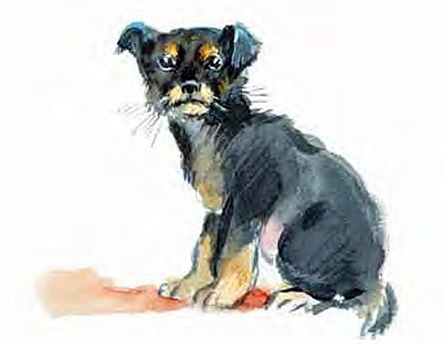 Иллюстрация к книге — Сибирский валенок [i_044.jpg]