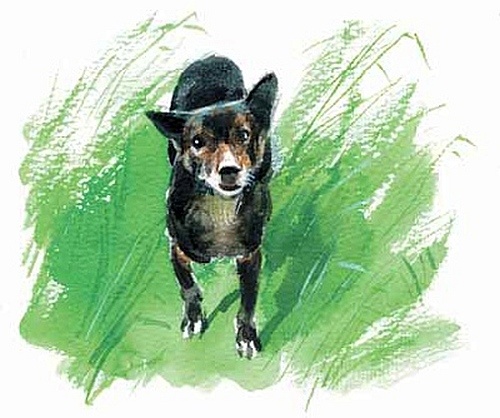 Иллюстрация к книге — Сибирский валенок [i_046.jpg]